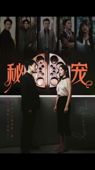 秘宠 全集解析