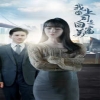 我的上司是白富美 全集解析