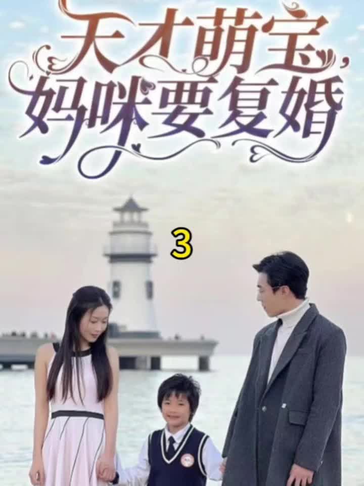 天才萌宝，妈咪要复婚 单亲妈妈复婚