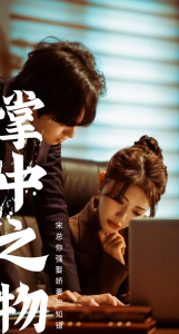 掌中之物：宋总娶娇妻可知错 宋总婚姻危机