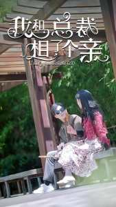 我和总裁相了个亲 总裁恋爱日常