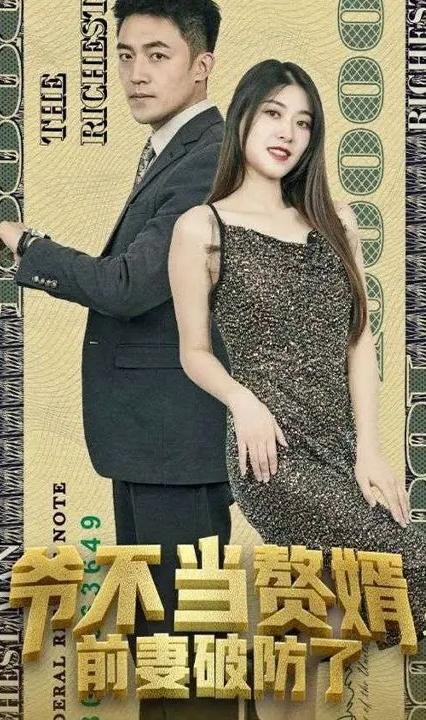 爷不当赘婿，前妻破防了 前妻复仇情