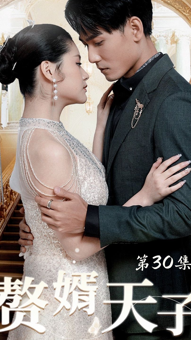 赘婿天子 朝廷权谋