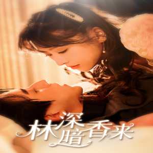 林深暗香来 翠绿松柏