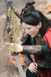 护国神将是我娘 国家危机保卫任务