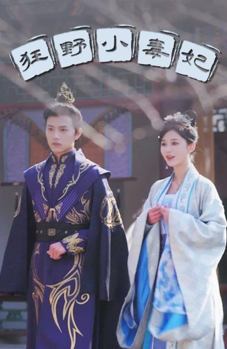 狂野小毒妃 宫廷斗争