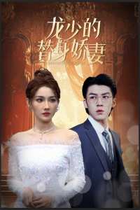 龙少的替身娇妻 替身娇妻复仇