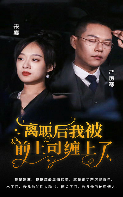 离职后，我被前上司缠上了 职场爱情