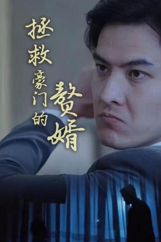 拯救豪门的赘婿 豪门继承人
