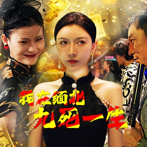 我在缅北九死一生 缅北冒险生存