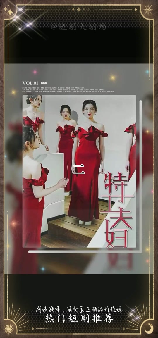 特工夫妇 冒险悬疑搞笑