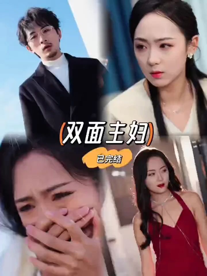 双面主妇 家庭崩溃
