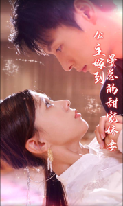 公主嫁到，晏总的甜宠娇妻 贵族世家恩怨