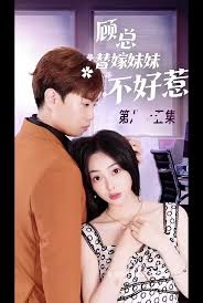 顾总替嫁妹妹不好惹 总裁 替嫁 姐妹 情感 危机 继承人 关系 缠绵