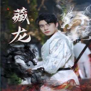 藏龙74集版 武侠传奇