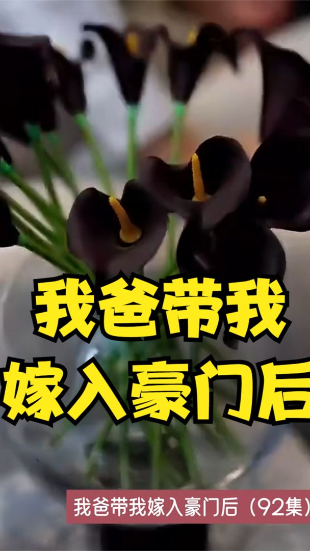 我爸带我嫁入豪门后 豪门家族继承者