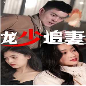 龙少追妻 龙族传承