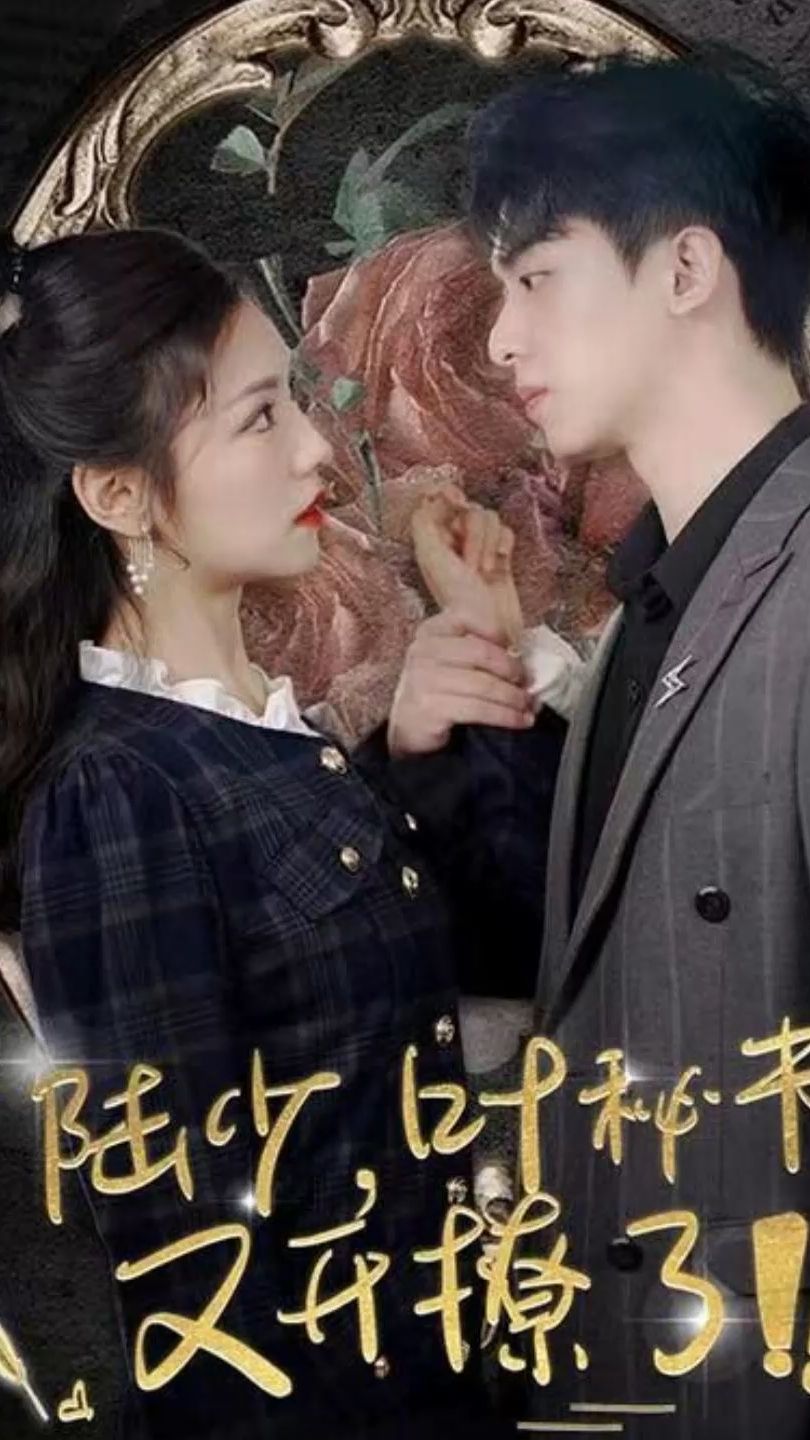 陆少叶秘书又开撩了 陆少秘书撩情风暴