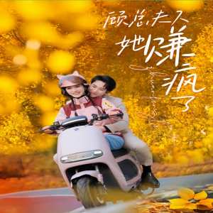 顾总夫人她赚疯了 炫富生活
