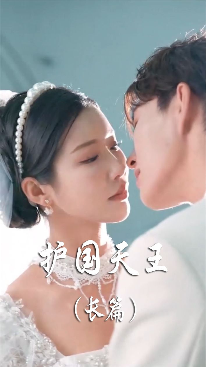 护国天王 爱国传奇