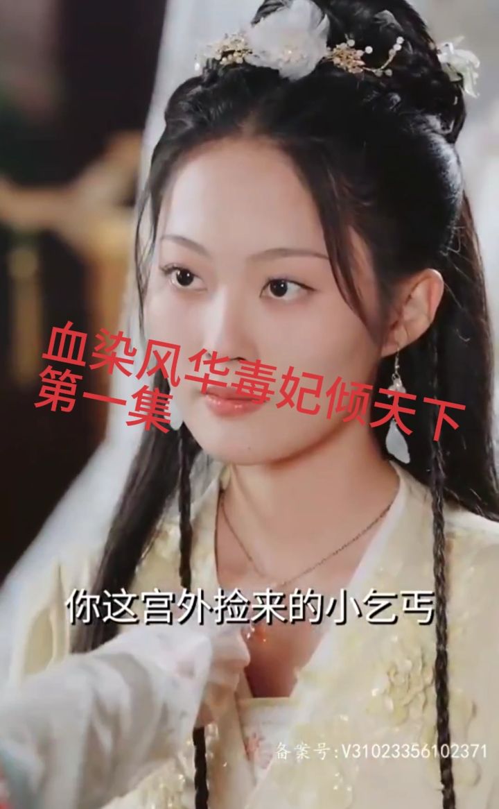 血染风华毒妃倾天下 宫廷权谋爱恨情仇