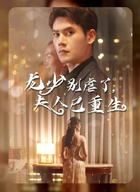龙少别虐了，夫人已重生 全集解析